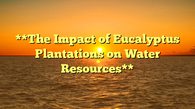 **The Impact of Eucalyptus Plantations on Water Resources**